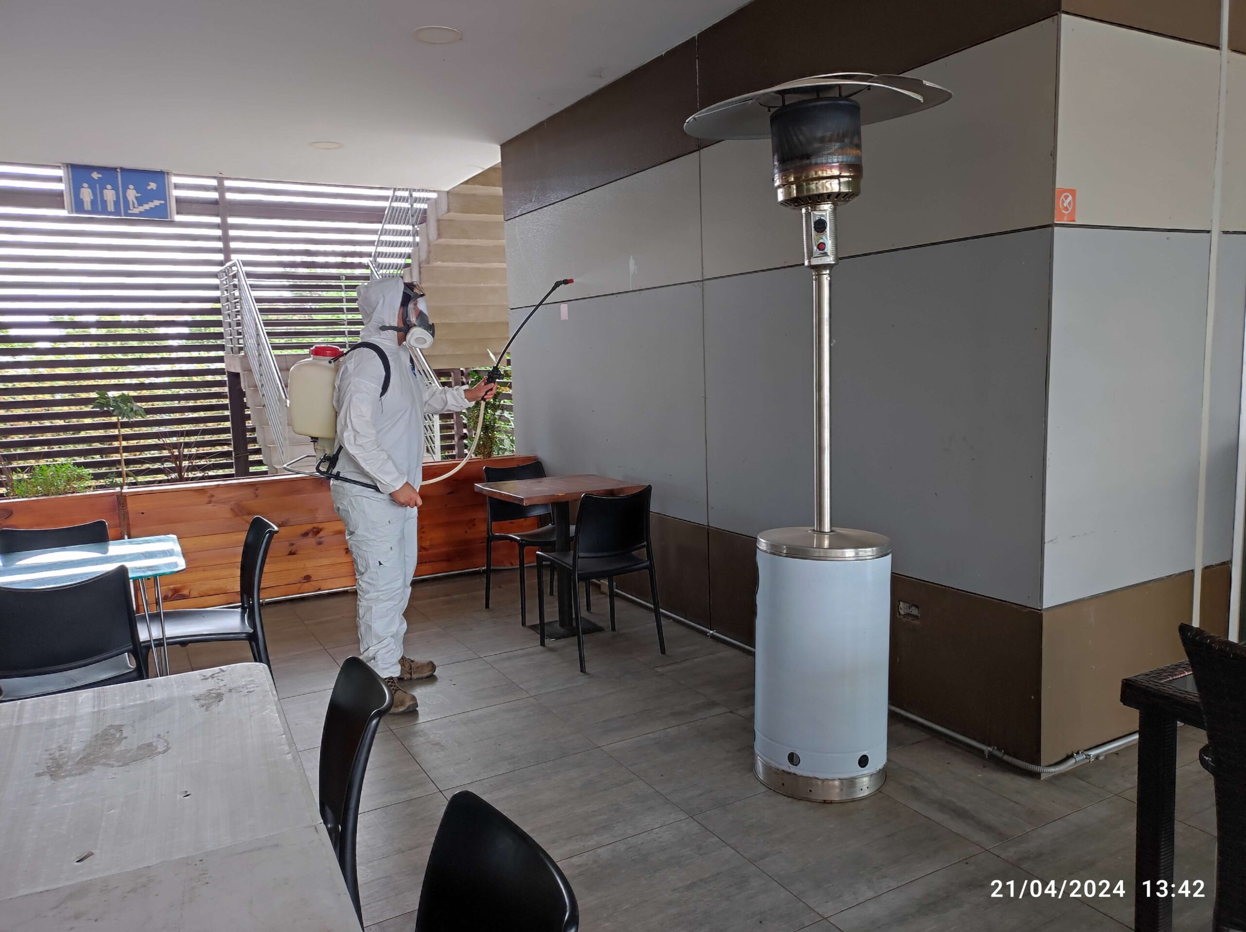 técnico realizando control de plagas en Padre Hurtado profesionalmente