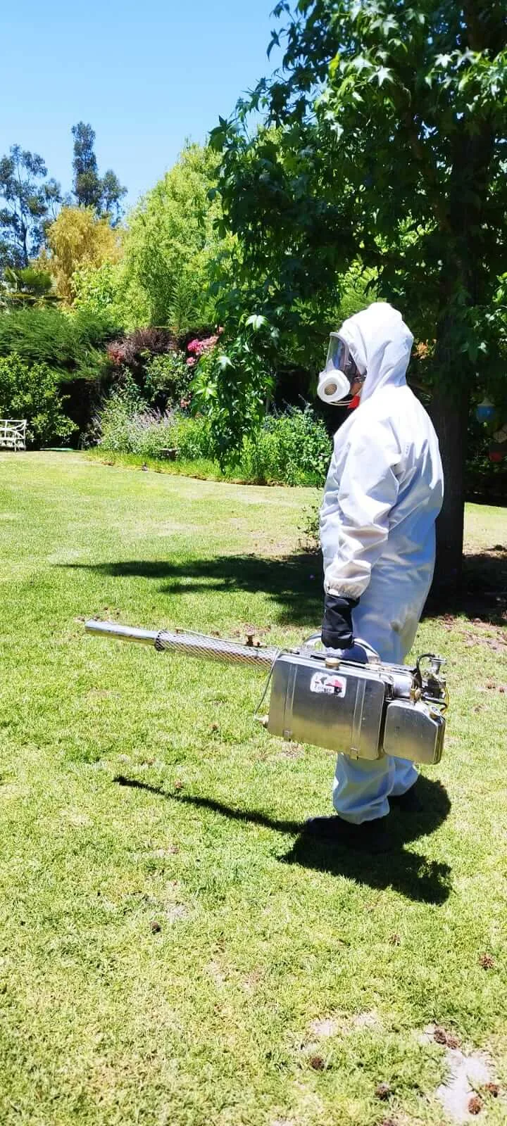 Técnico de control de plagas realizando aspersión perimetral en zócalos de habitación para eliminar arañas de rincón.